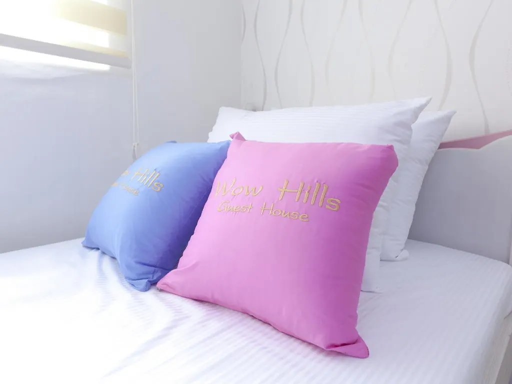 Guest house Wow Hills Guesthouse Seoul